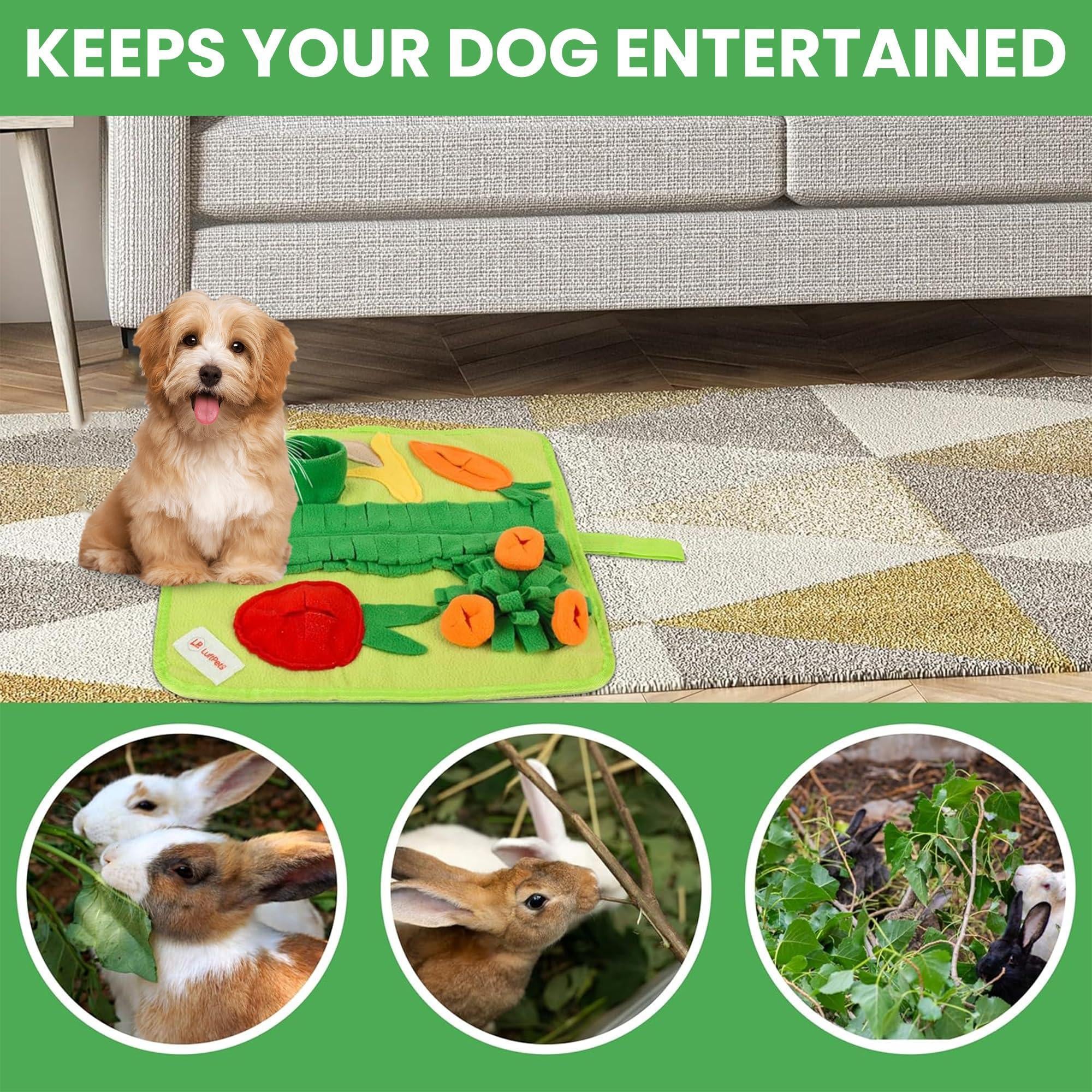 Premium Snuffle Mat for Small Dogs, Cats, and Small Animals - Soft Foraging Puzzle Toy, Washable and Anti-Slip Design for Rabbits, Guinea Pigs, and Hamsters