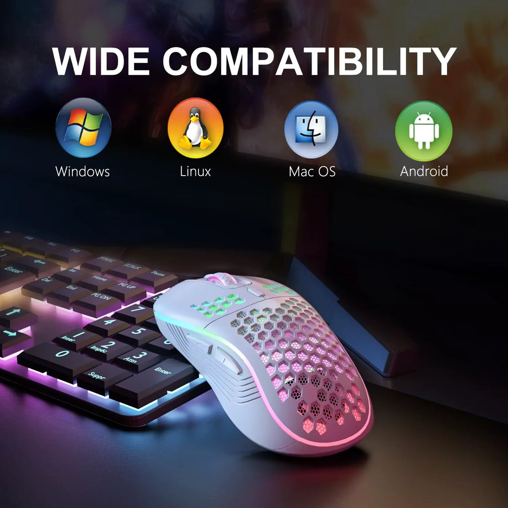 Wireless RGB Backlit Gaming Mouse with 6 Buttons, 3-Speed DPI, Type C Rechargeable, Ergonomic Honeycomb Design