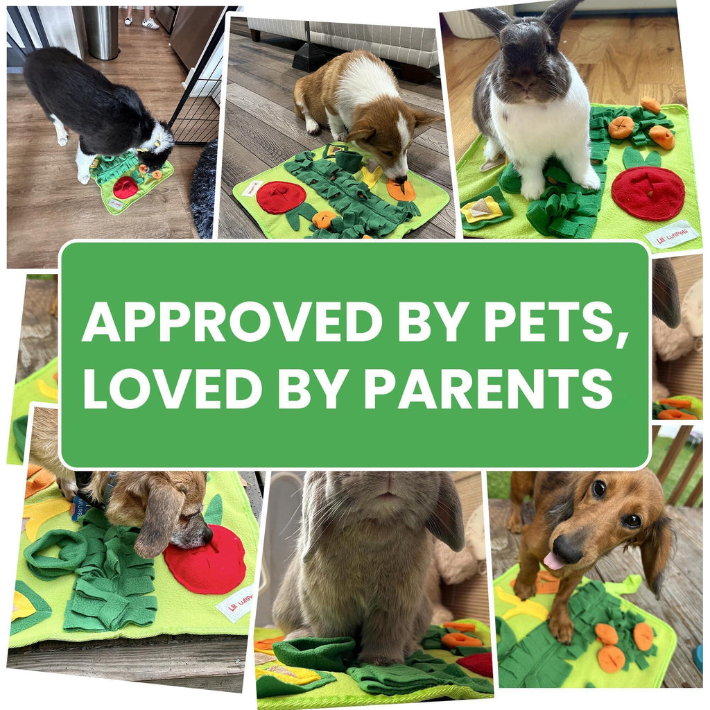 Premium Snuffle Mat for Small Dogs, Cats, and Small Animals - Soft Foraging Puzzle Toy, Washable and Anti-Slip Design for Rabbits, Guinea Pigs, and Hamsters